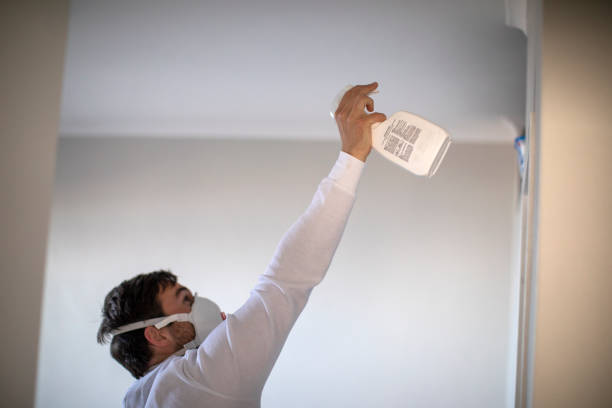 Best Mold Removal and Inspection  in Ukiah, CA