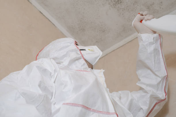 Best Mold Cleaning Services  in Ukiah, CA
